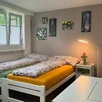 Apartmán Heart Zentrum I Ruhig I Single I Paare I Kueche *