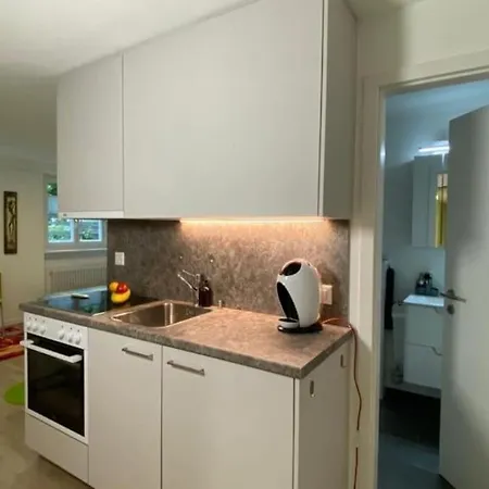 Heart Zentrum I Ruhig I Single I Paare I Küche Apartamento Visp