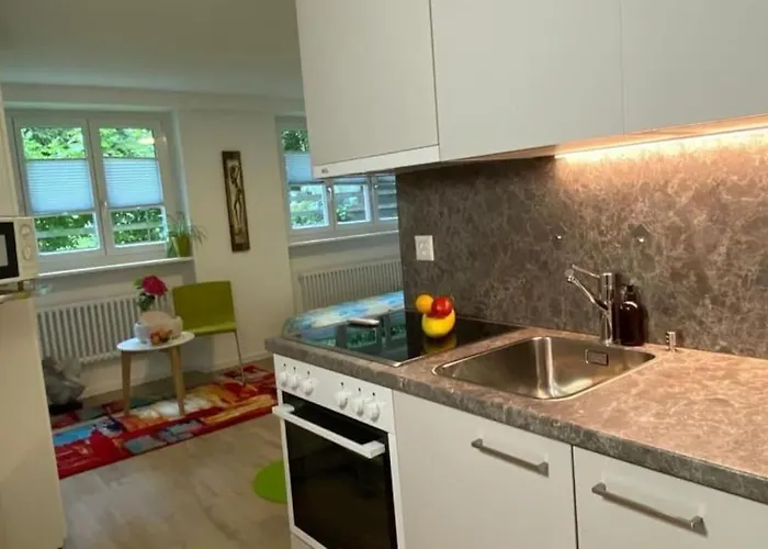 Apartman Heart Zentrum I Ruhig I Single I Paare I Kueche *