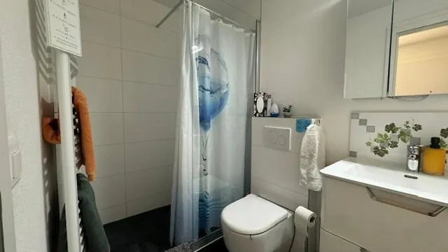 Heart Zentrum I Ruhig I Single I Paare I Kueche Apartman Visp