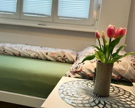 Heart Zentrum I Ruhig I Single I Paare I Kueche * Visp